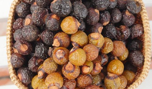 Cách làm nước rửa chén từ quả bồ hòn 4