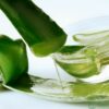 Cách sử dụng nha đam tươi an toàn và hiệu quả