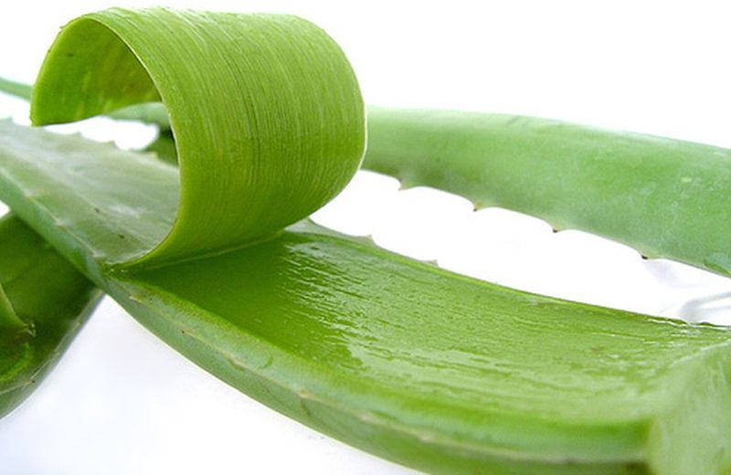 Tác dụng của nha đam với da mặt hiệu quả ra sao? 1