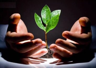 Luật nhân quả trong cuộc sống và cách chúng vận hành