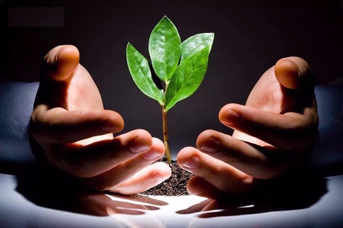 Luật nhân quả trong cuộc sống 1