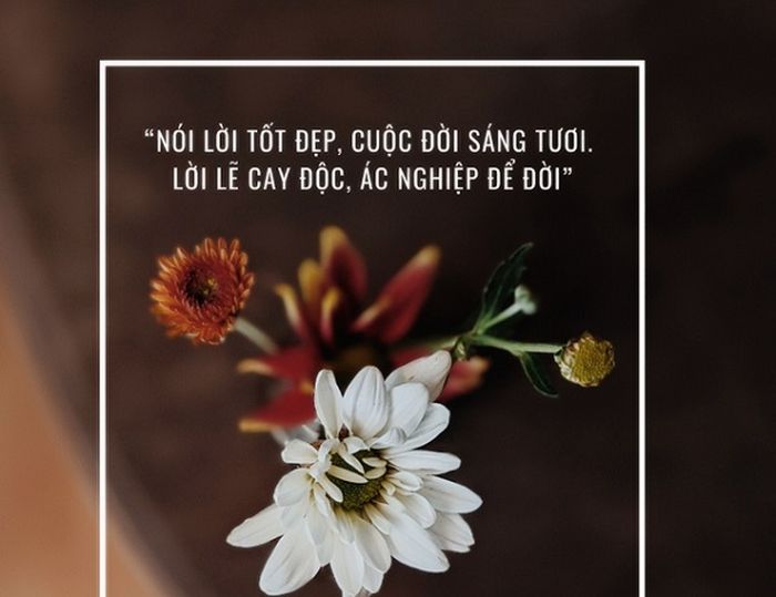Những câu nói làm đau lòng người 3