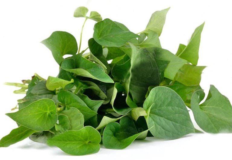 Cách chữa nhiệt miệng dân gian 4