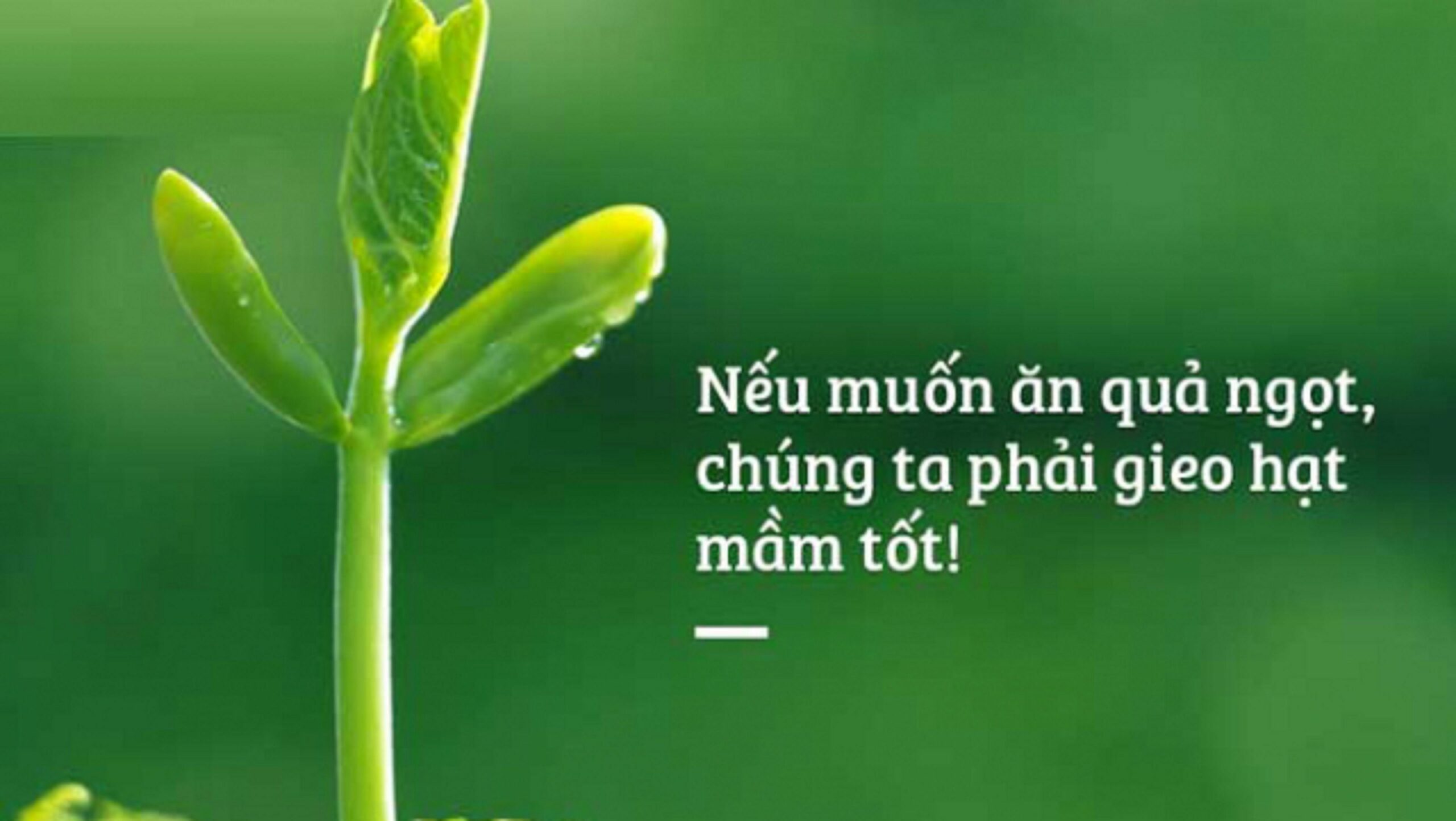 Luật nhân quả báo ứng 2